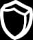 GVO Icon